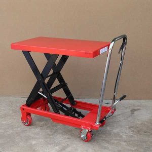 xe-nang-mat-ban-wp300-niuli-1