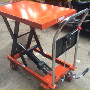 xe-nang-mat-ban-wp300-niuli-2